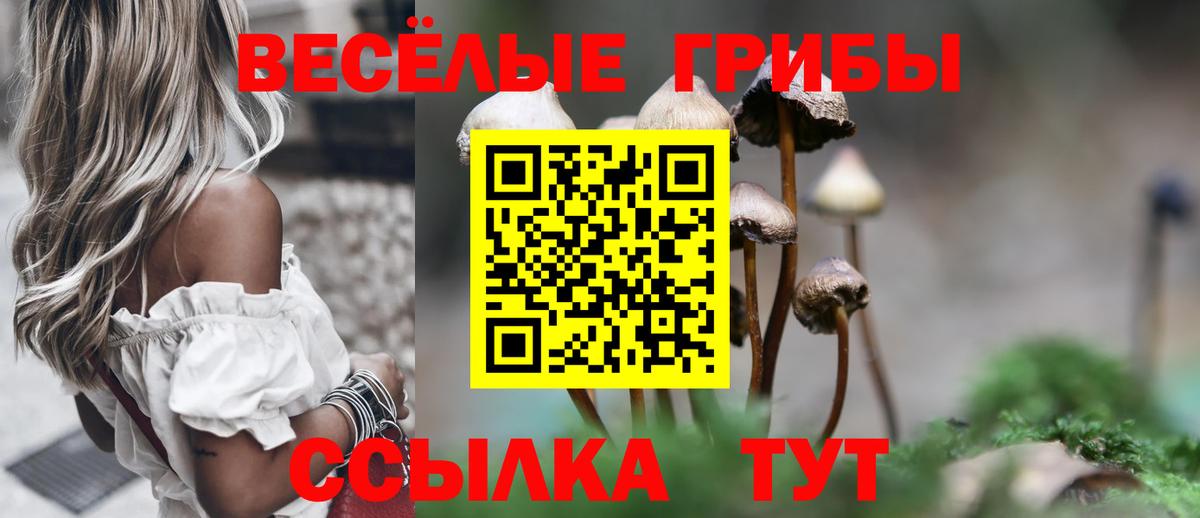 Медногорск  Псилоцибиновые грибы мухоморы  Вход с VPN 